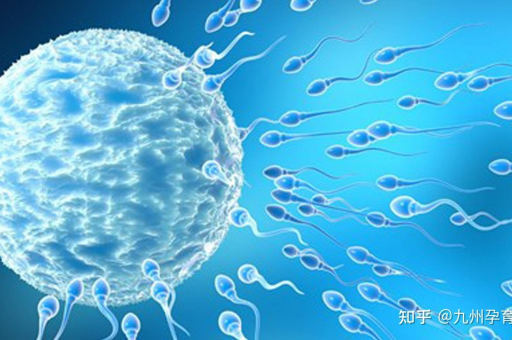 深圳供卵代怀服务(深圳提供代孕蛋服务，您只需拥有良好的健康状况。)